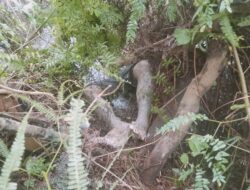 Geger,Penemuan Mayat diatas Waduk di Jalan Lintas Timur, Polisi Turun ke TKP