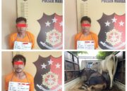 Polsek Marbau Bersama Satpam Tangkap 03 Orang Pencuri 02 Ekor Ternak Sapi