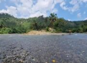 Wisata Pemandian Alami di Labuhanbatu Utara, Sumatera Utara: Sungai Lubuk Natikko Untuk Berlibur