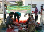 Penyembelihan Qurban 1445H Oleh Keluarga Besar Pengadilan Negeri Rantau Prapat