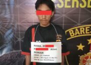 Pemberantasan Pencurian, Polsek Bilah Hulu Dan Satpam PTPN Tangkap Curi Berondolan