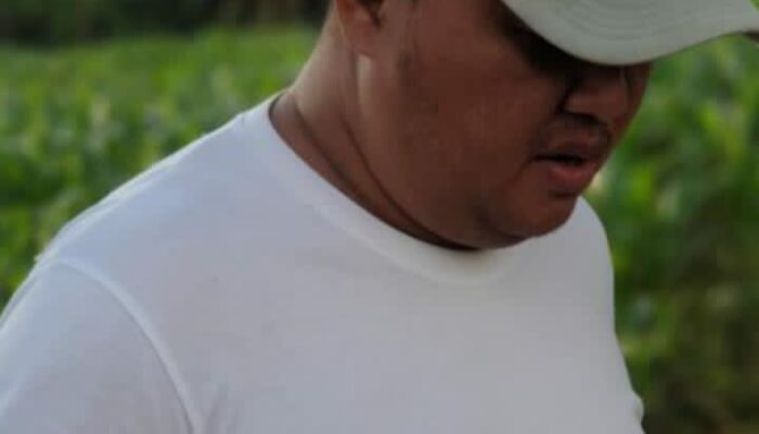 Beberapa Dugaan Selain Heboh Pertambangan Galian Golongan-C Tanpa Mengantongi Izin PT Jaya Kontruksi.