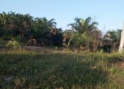 Sengketa Lahan di Pangkalan Kerinci Nomor Perkara 29/Pdt.G/2024/PN Plw Kini Masuk Babak Baru