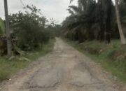 Jalan Kabupaten, Menuju Desa Meranti Bilah Hulu Hancur Total Warga Minta Pemkab Perbaiki