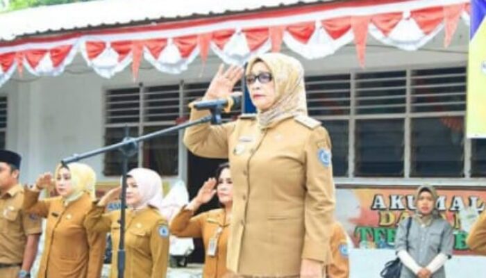 Plt Bupati Labuhanbatu Jadi Pembina Inspirasi Di SD Negeri 10 Rantau Selatan