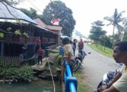 Penampakan Buaya Muara Bikin Resah Warga Desa Elfule, Instansi Terkait Diminta Segera Bertindak