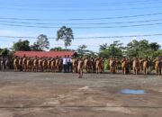 Seleksi Gelombang Kedua PPPK di Sampaikan Sekda Nias Utara Pada Penaikan Bendera Merah Putih Dengan Semangat 45