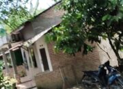 Insial A Alias Breok Diduga Bandar Narkoba Didesa Pondok Batu Kebal Hukum