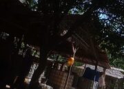 Maraknya Pengepul BBM Pertalite Dan Bio Solar Bersubsidi Pemerintah Diduga Libatkan Mandor SPBU 14.227.350 Negeri Lama.