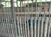 Wow”Mafia BBM di Labuhanbatu Berjalan Mulus,Siapa Dekingnya..?