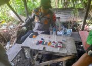 *Polsek Bilah Hulu Grebek Kampung Narkoba di Gunung Salamat, Dua Gubuk Dibongkar*