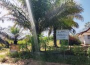 Lahan Dinas Perkebunan Provinsi Sumatera Utara di”Telantarkan” Anggaran Dipertanyakan