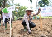 Dukung Ketahanan Pangan, Kapolres Tanam Jagung Kuartal IV Tahun 2025 
