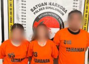 Sat Narkoba Polres Simalungun Bekuk Pengedar Ekstasi Asal Asahan, 10 Butir Pil Tengkorak Pink Diamankan