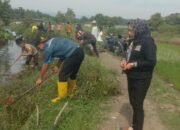 Camat Rantau Utara beserta Lurah dan Kepela Lingkungan,laksanakan Gotong Royong
