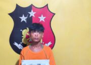 Jual Sabu di Kebun Sawit; Anto Diciduk Polisi Panai Hilir 