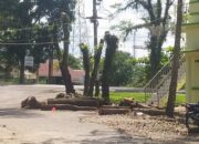 Warga Keluhkan Sampah Pemangkasan Pohon di Wilayah Kompi, Kecamatan Bilah Barat