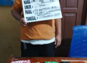Pollisi Tangkap IRT  Pengedar Sabu, BBi 1,7 Gram Disita*