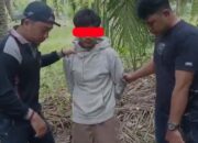 Tahun  2025, Polsek Bilah Hilir Ungkap Puluhan Kasus  Narkotika 