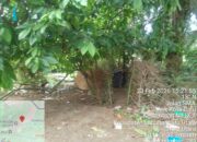 Diduga Kebal Hukum, Peredaran Sabu di Jalan SMA Aek Kota Batu Kian Merajalela, Warga NA IX-X Labuhanbatu Utara Minta APH Bertindak Tegas