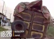 Petani Sawit ‘Menjerit’ Bajing Loncat Menggila di Wilkum Labusel