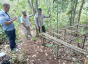 Polsek Bilah Hulu Grebek Sarang Narkoba di Dusun Siborangan*