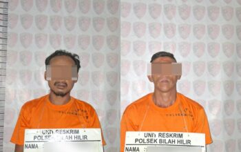 2 Peria Diduga Penyalahguna Narkotika, Disikat Tim Polsek Bilah Hilir BB 4,15 Gram Sabu