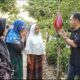 Tomy Berduka, Bantu Kontrakan Rumah Korban Kebakaran Dan Tali Asih