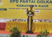 Gusril Pausi Bawa Pohon Beringin Kuning Menuju Puncak Kejayaan Di Kaur