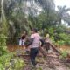 Hari Pertama Pembangunan Jembatan Presisi Polri Tahap II di Sungai Buluh, Kapolsek Bunut: Selesai 3-4 Minggu
