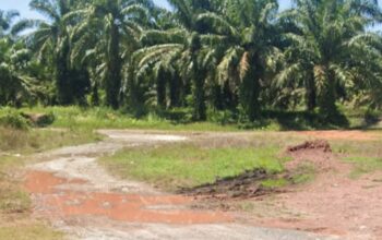 Diduga Kembali Beroperasi, Peredaran Sabu di Lokasi “Sapu Lidi” Jalan Bypass Rantau Selatan Resahkan Warga: APH Diminta Bertindak Tegas dan Tuntas