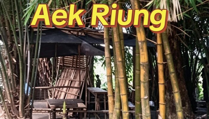 Warga Aek Riung Resah, Dugaan Peredaran Sabu Disebut Kian Terbuka; Masyarakat Minta Aparat Bertindak Tegas