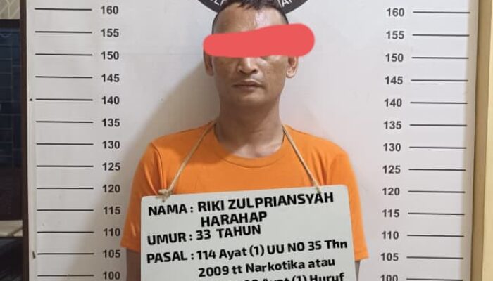 2 Pelaku Narkotika Disikat Team Satresnarkoba Polres Labuhanbatu, Satu Buron