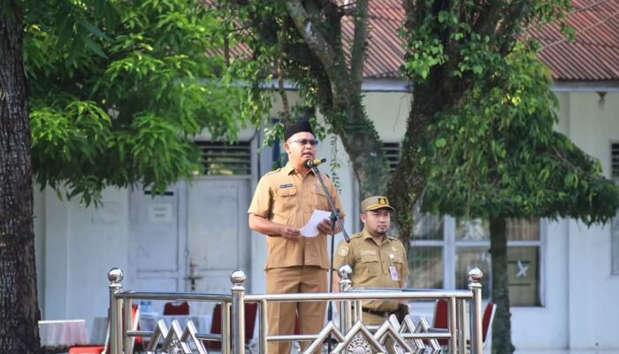 Inspektur Labuhanbatu Dorong Reformasi Penganggaran, ASN Diminta Fokus pada Hasil Kinerja