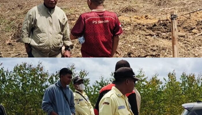 Usut Skandal Lahan Ulayat Desa Palas, Tim Investigasi Resmi Layangkan Surat Konfirmasi ke PT Arara Abadi