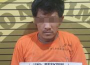 Polsek Bilah Hilir Tangkap pelaku Curat, DiKota Pinang 