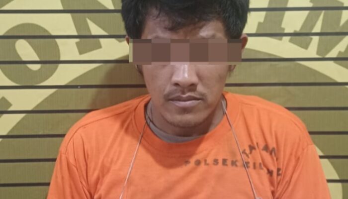 Polsek Bilah Hilir Tangkap pelaku Curat, DiKota Pinang 