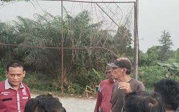 Meresahkan Salah Satu Warga Mengotori Membuang Pelepah Sawit di Lapangan Footsall