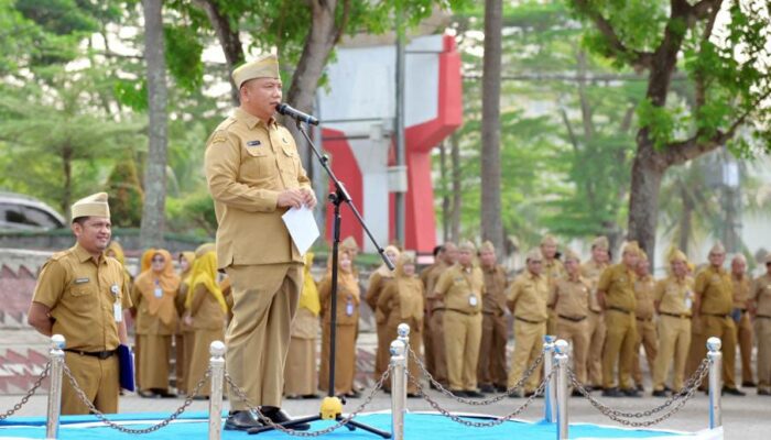 Prestasi Nasional Jadi Pemacu, ASN Lampung Selatan Perkuat Pelayanan bagi Warga