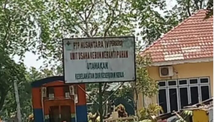Banjir Meluap Diduga dari HGU PTPN IV, Asisten SDM Kebun MEP Ajamu II Janji Turunkan Alat Berat Tapi Tak Datang*